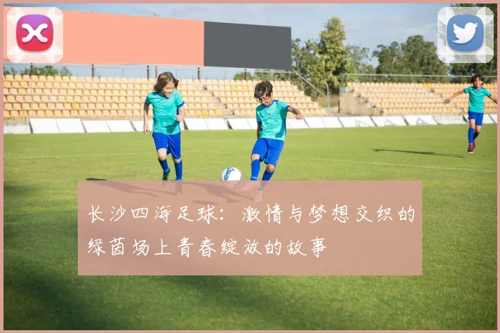 长沙四海足球：激情与梦想交织的绿茵场上青春绽放的故事