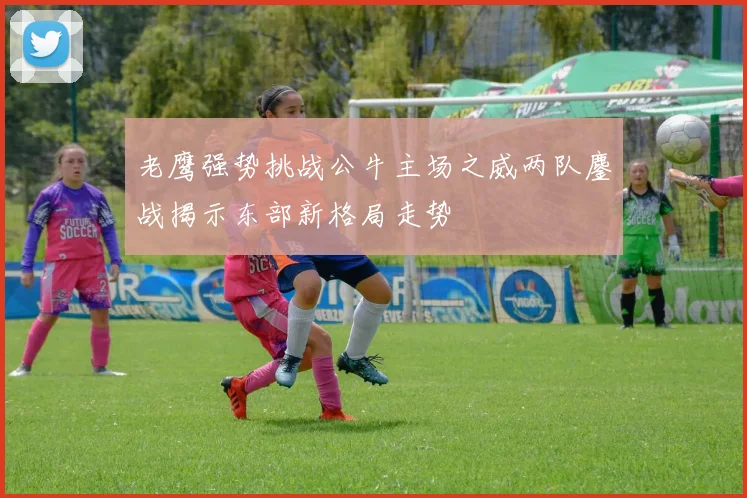 老鹰强势挑战公牛主场之威两队鏖战揭示东部新格局走势