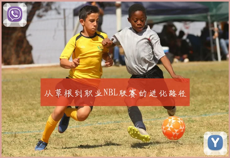 从草根到职业NBL联赛的进化路径