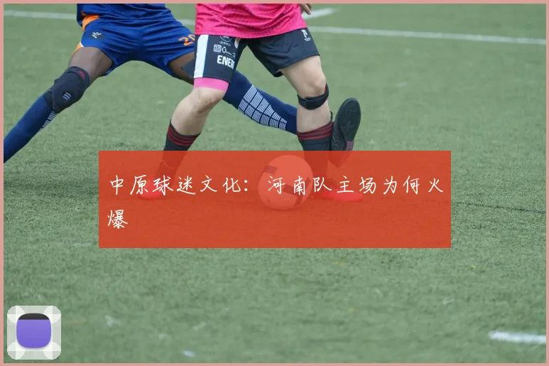 中原球迷文化：河南队主场为何火爆