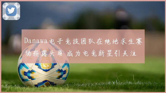 Danawa电子竞技团队在绝地求生赛场崭露头角 成为电竞新星引关注