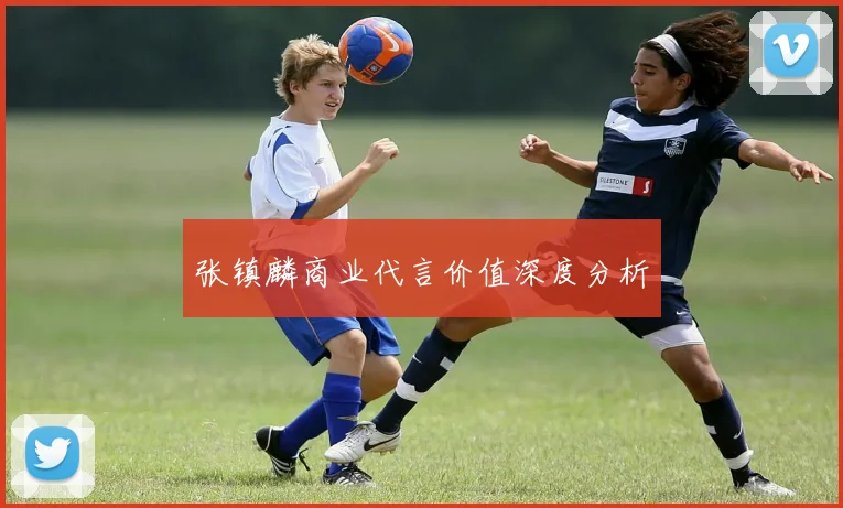 张镇麟商业代言价值深度分析