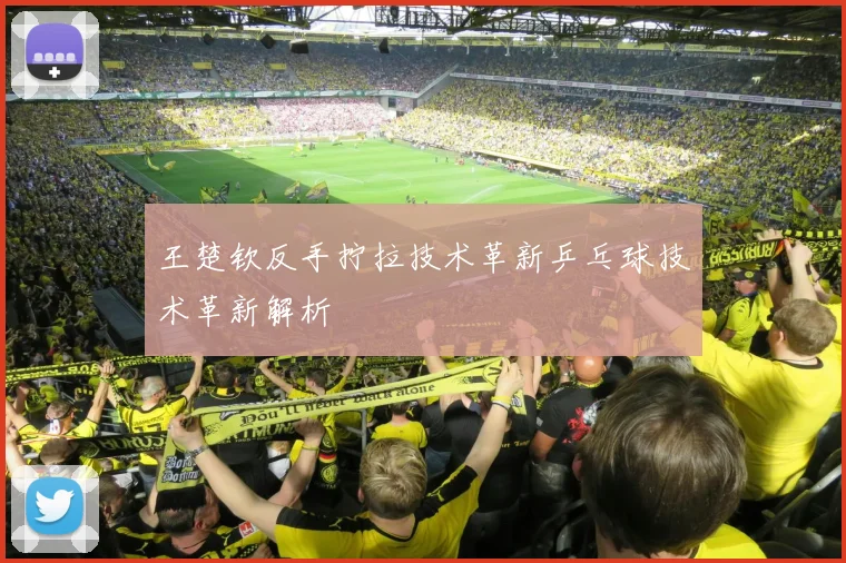 王楚钦反手拧拉技术革新乒乓球技术革新解析